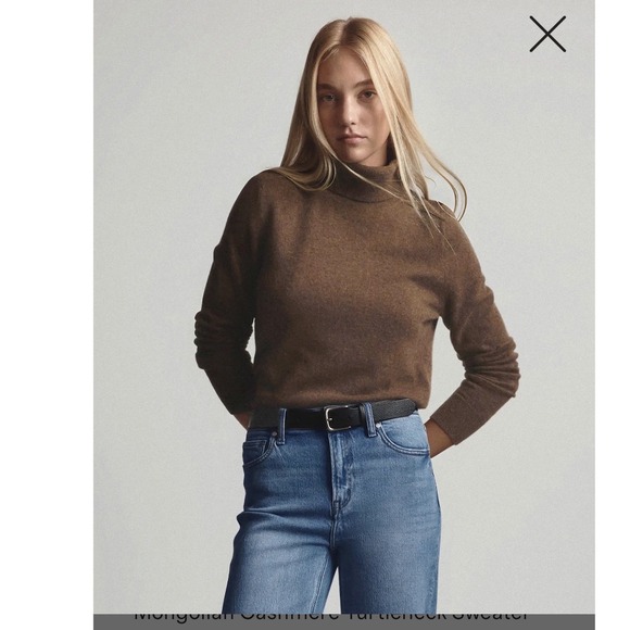 Quince Sweaters - Quince Mongolian Cashmere Turtleneck Sweater Brown Womens Medium